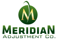 Meridian Adjustment